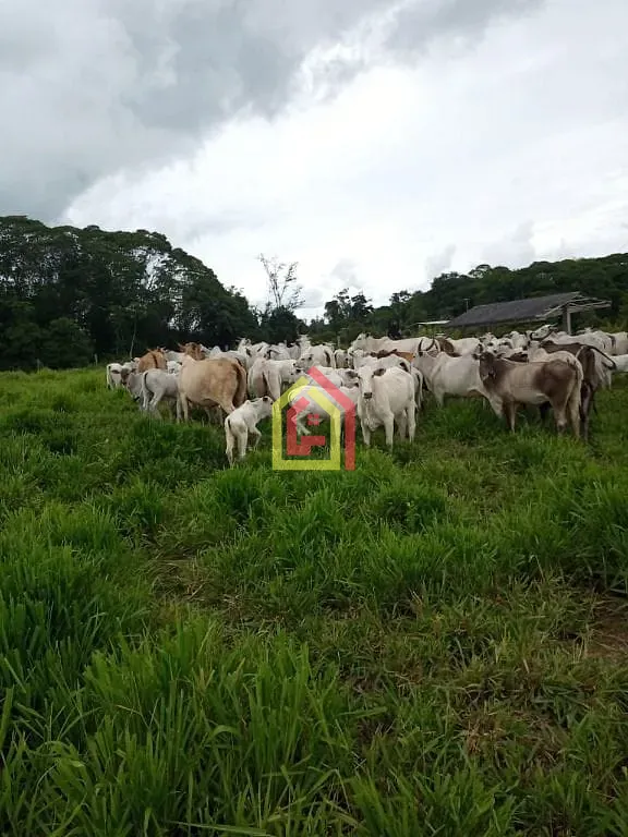 Rural à venda com 13310000m² de terreno no Zona Rural, Jacundá (PA) — foto 14 de 14