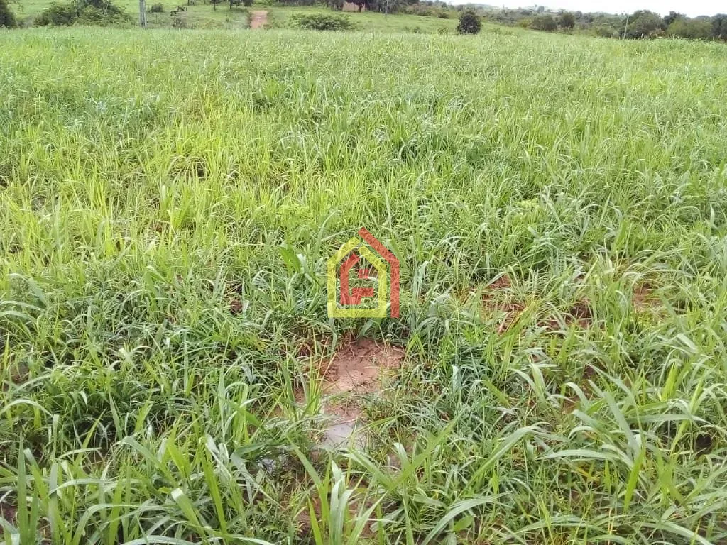 Rural à venda com 13310000m² de terreno no Zona Rural, Jacundá (PA) — foto 9 de 14