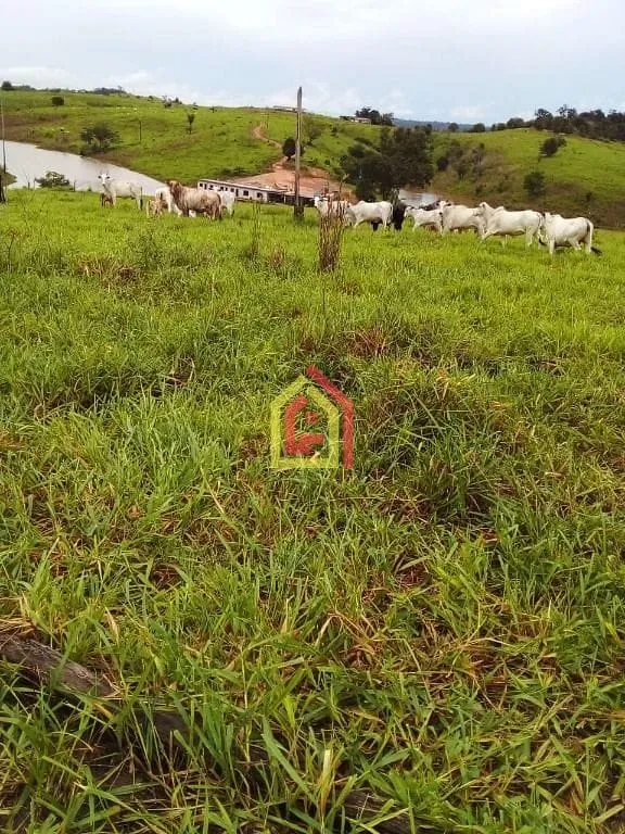 Rural à venda com 13310000m² de terreno no Zona Rural, Jacundá (PA) — foto 11 de 14