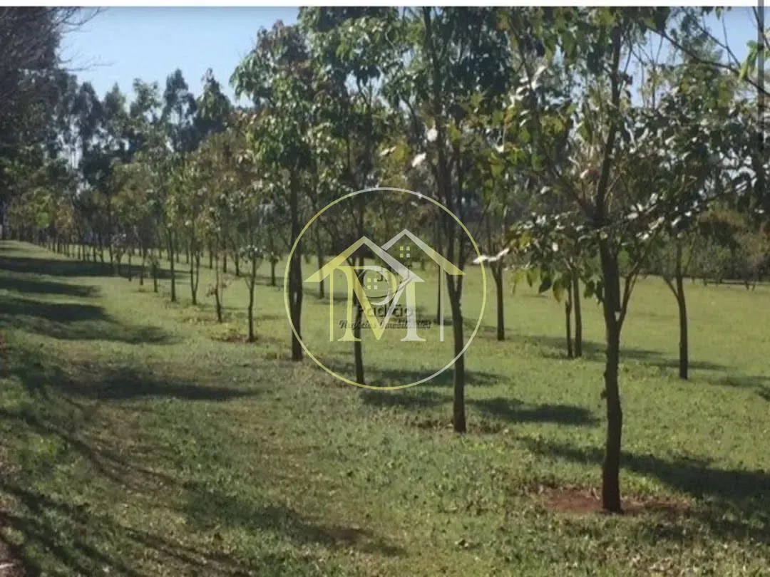 Fazenda, 140 hectares - Foto 28
