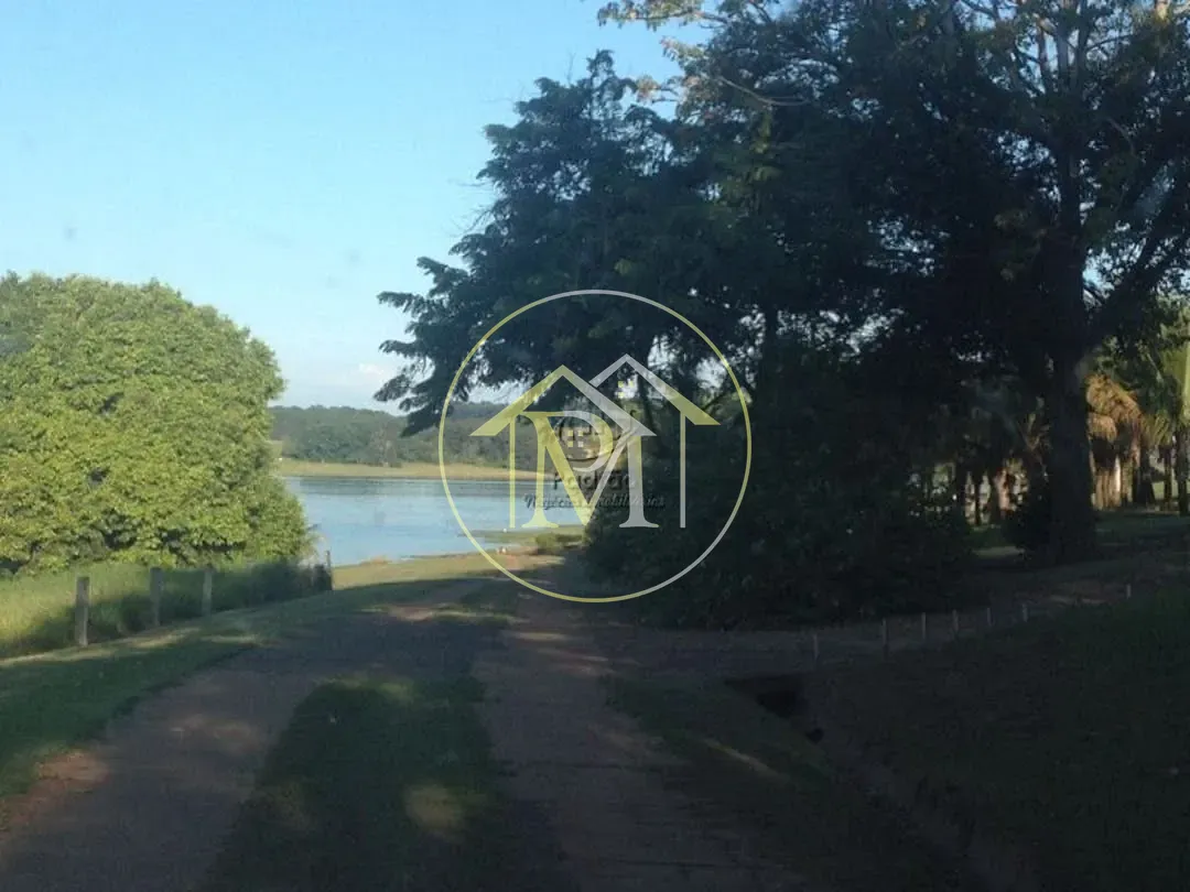 Fazenda, 140 hectares - Foto 13