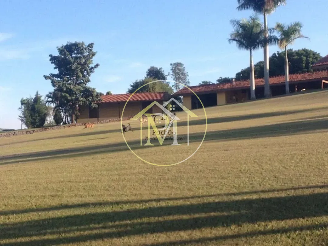 Fazenda, 140 hectares - Foto 9