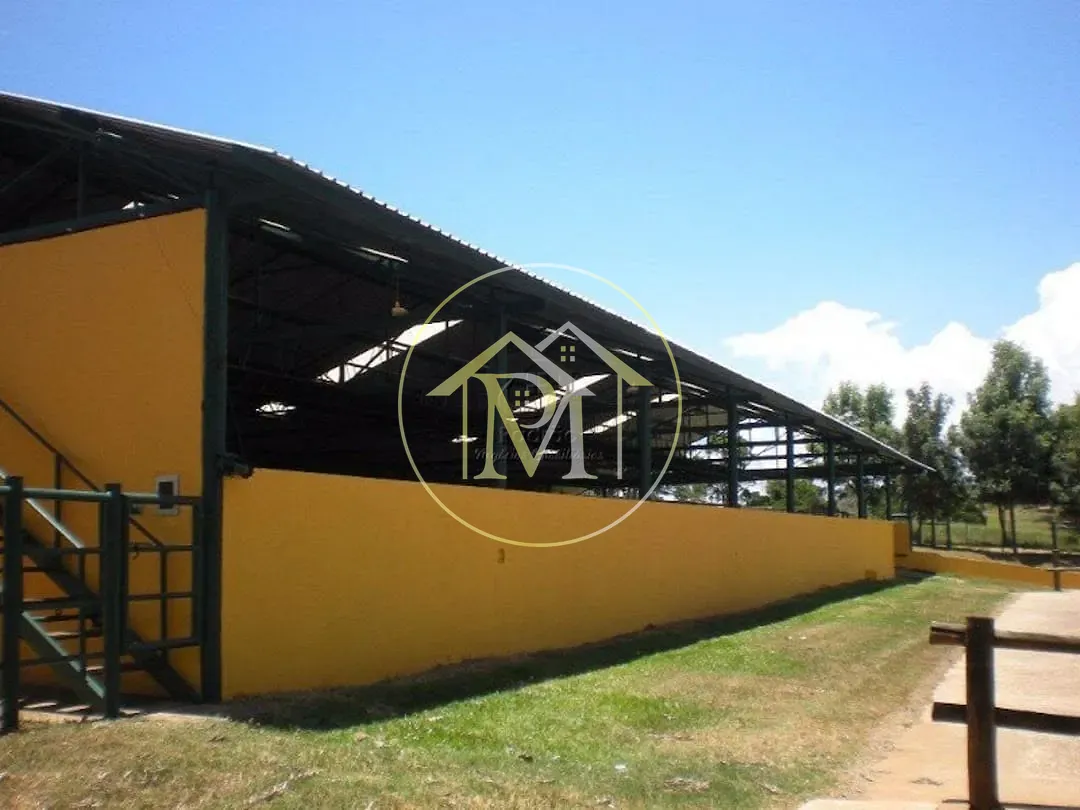 Fazenda, 140 hectares - Foto 19