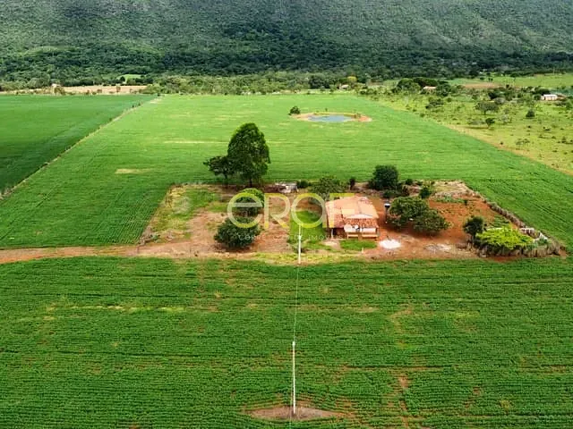 Fazenda 2 quartos e 1 banheiro, à venda, no bairro Formosa em Formosa