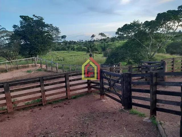 Fazenda com 9922000m², à venda, no bairro Zona Rural em Itupiranga
