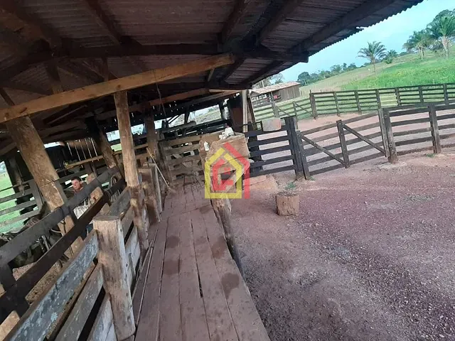 Fazenda com 9922000m², à venda, no bairro Zona Rural em Itupiranga