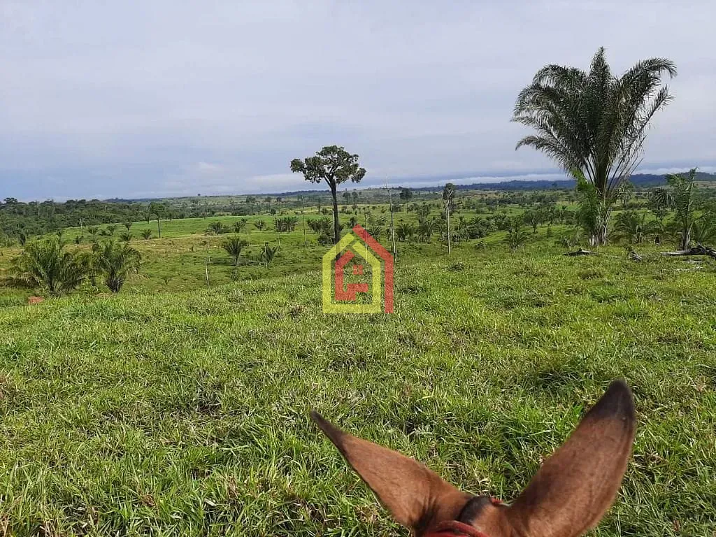 Rural à venda com 9922000m² de terreno no Zona Rural, Itupiranga (PA) — foto 6 de 10