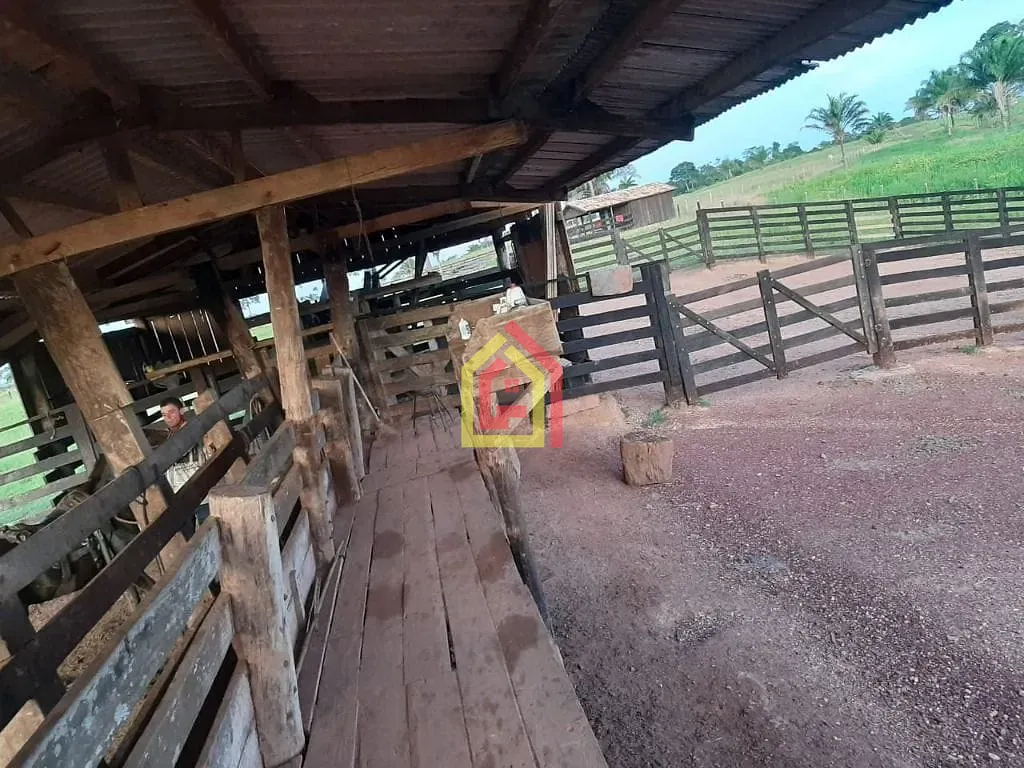 Rural à venda com 9922000m² de terreno no Zona Rural, Itupiranga (PA) — foto 5 de 10