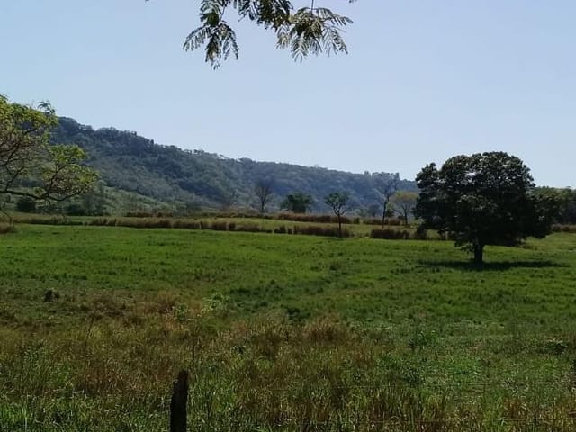 Foto do Fazenda - Fazenda à venda 217800M², Zona Rural, Rifaina - SP | ZUCATO IMOBILIARIA LTDA