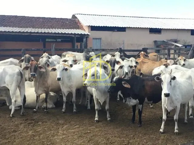 Fazenda com 1258400m², à venda, no bairro Fazendinha em Araruama