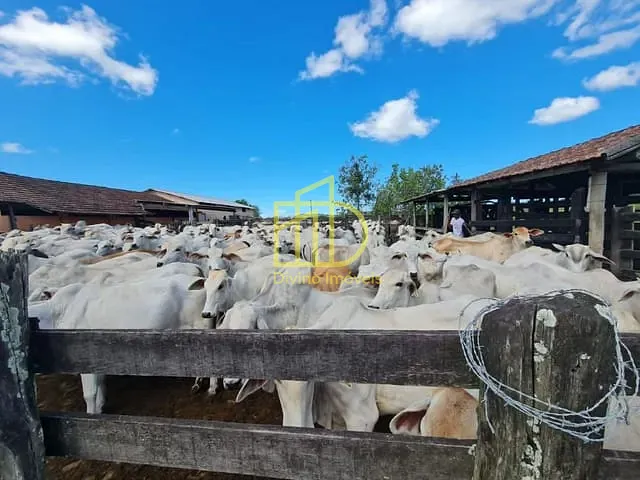 Fazenda com 1258400m², à venda, no bairro Fazendinha em Araruama