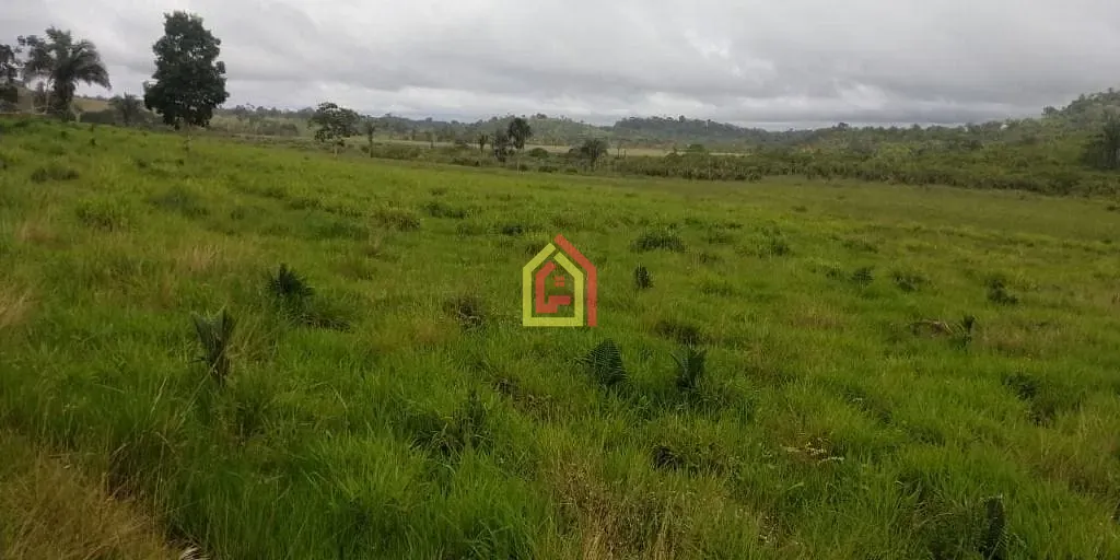 Rural à venda com 1452000m² de terreno no Zona Rural, Novo Repartimento (PA) — foto 16 de 18