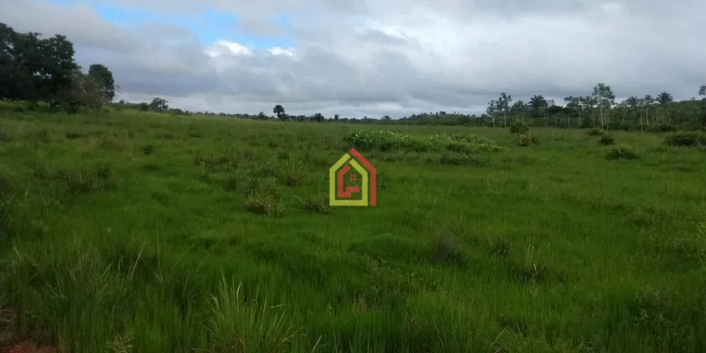 Rural à venda com 1452000m² de terreno no Zona Rural, Novo Repartimento (PA) — foto 4 de 18