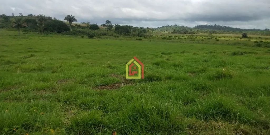Rural à venda com 1452000m² de terreno no Zona Rural, Novo Repartimento (PA) — foto 11 de 18