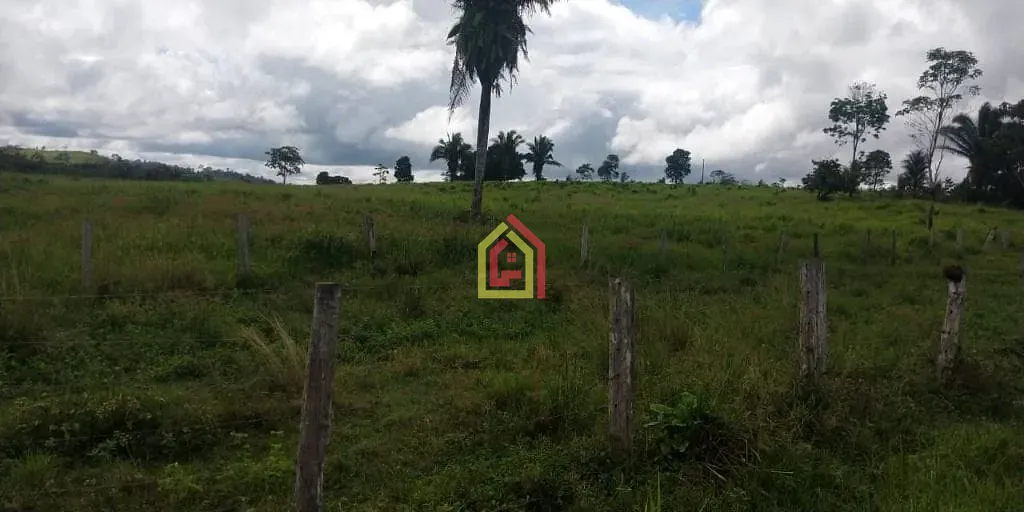 Rural à venda com 1452000m² de terreno no Zona Rural, Novo Repartimento (PA) — foto 10 de 18
