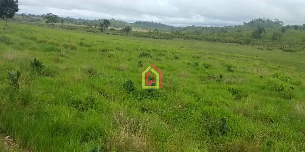 Rural à venda com 1452000m² de terreno no Zona Rural, Novo Repartimento (PA) — foto 5 de 18