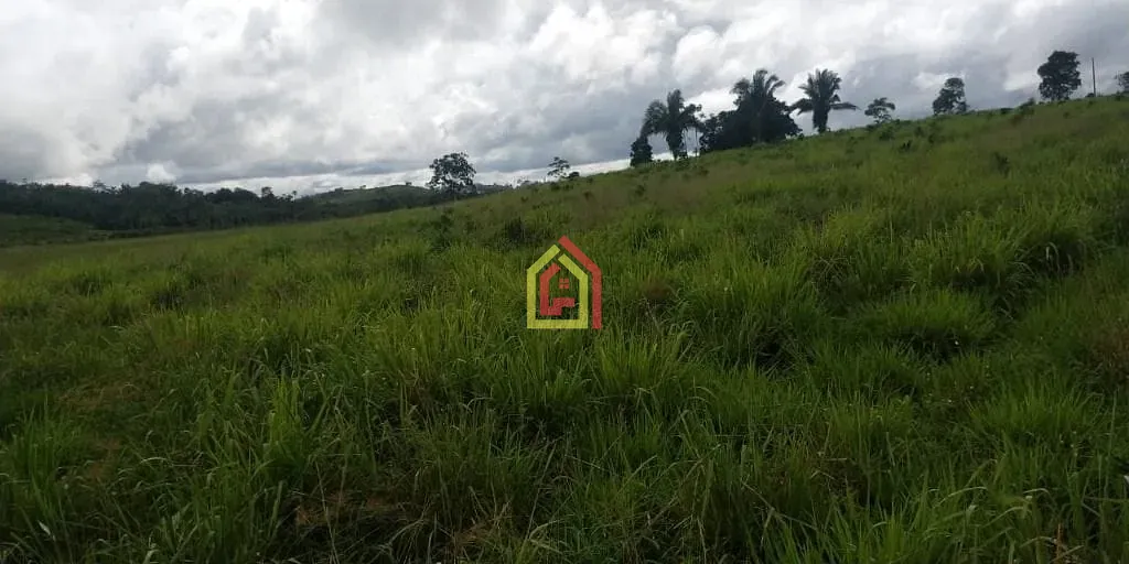 Rural à venda com 1452000m² de terreno no Zona Rural, Novo Repartimento (PA) — foto 6 de 18