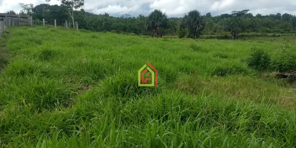 Rural à venda com 1452000m² de terreno no Zona Rural, Novo Repartimento (PA) — foto 12 de 18
