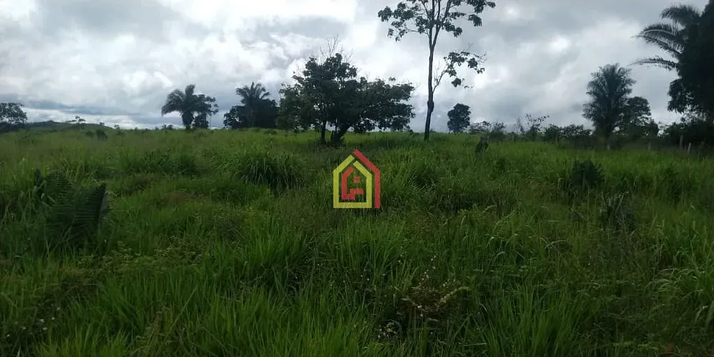 Rural à venda com 1452000m² de terreno no Zona Rural, Novo Repartimento (PA) — foto 2 de 18