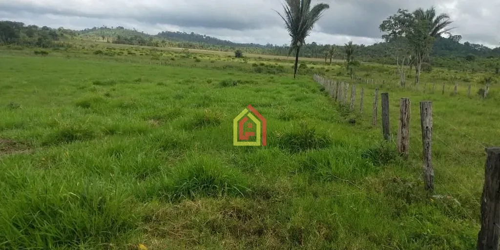 Rural à venda com 1452000m² de terreno no Zona Rural, Novo Repartimento (PA) — foto 3 de 18