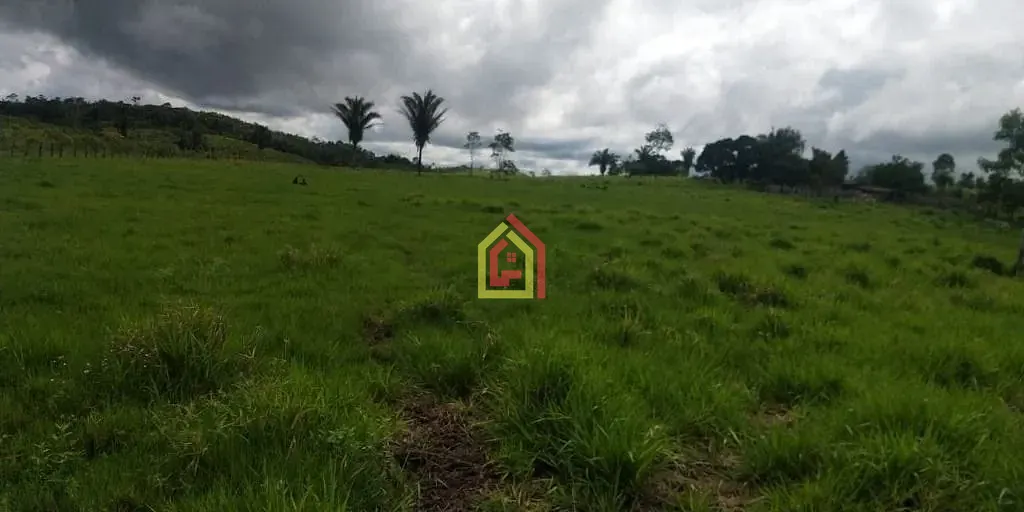 Rural à venda com 1452000m² de terreno no Zona Rural, Novo Repartimento (PA) — foto 13 de 18