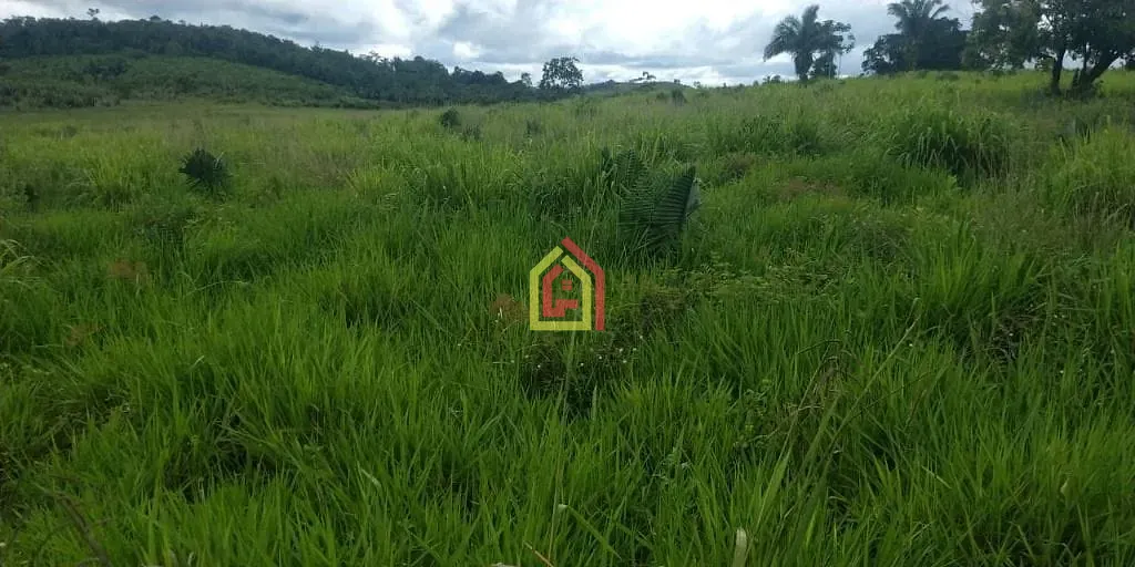 Rural à venda com 1452000m² de terreno no Zona Rural, Novo Repartimento (PA) — foto 8 de 18