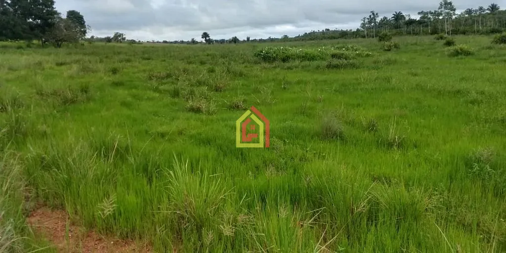 Rural à venda com 1452000m² de terreno no Zona Rural, Novo Repartimento (PA) — foto 18 de 18
