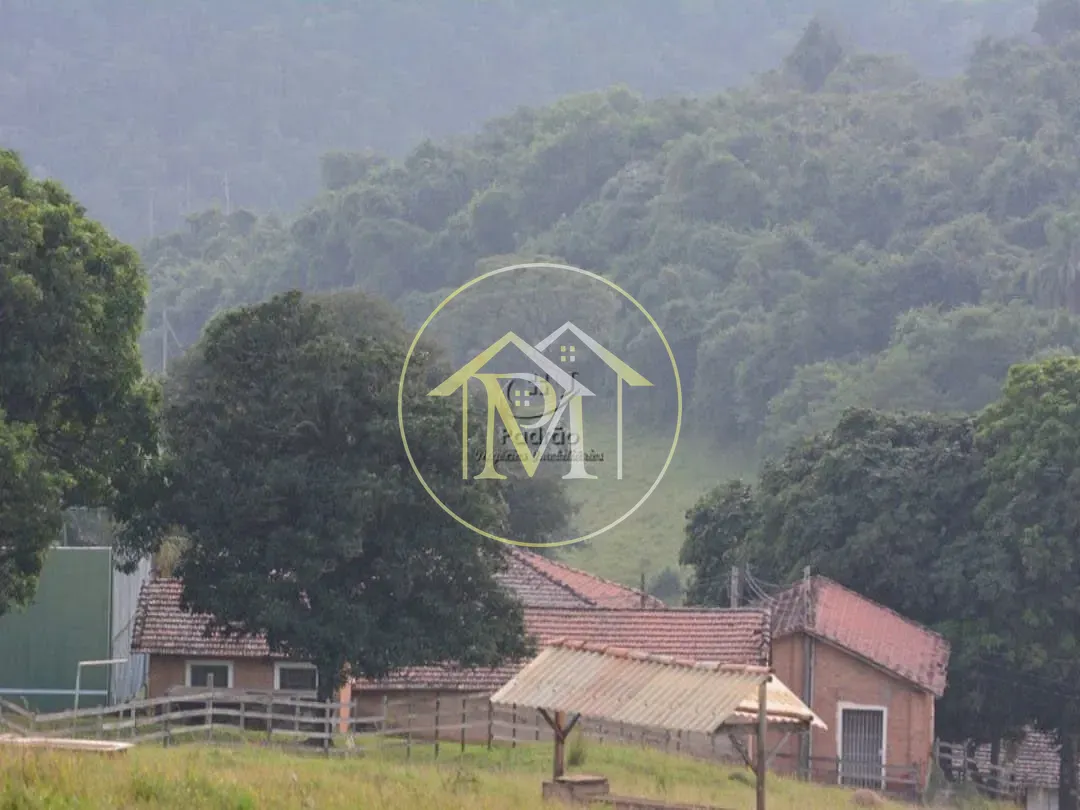 Fazenda, 278 hectares - Foto 8