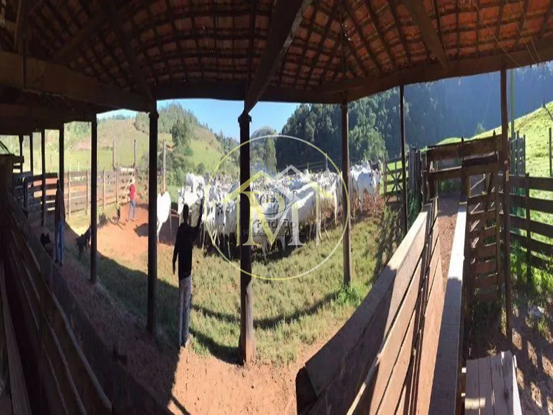 Fazenda, 278 hectares - Foto 9