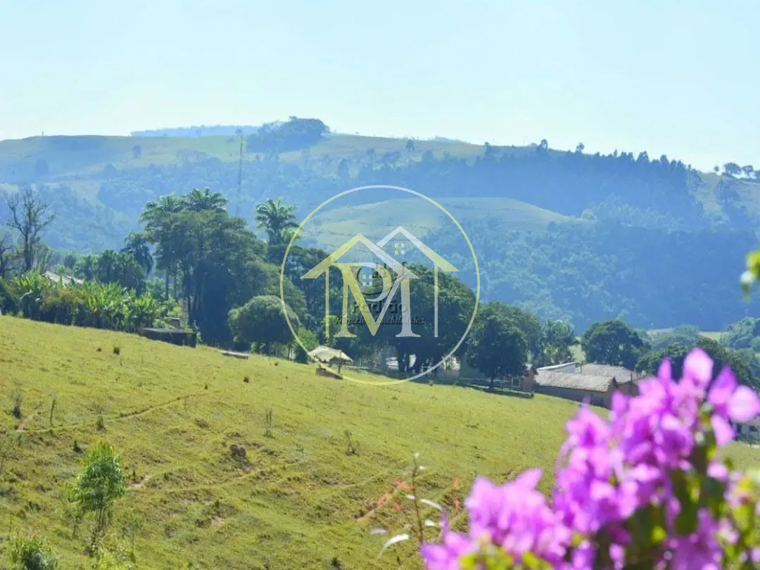 Fazenda, 278 hectares - Foto 10