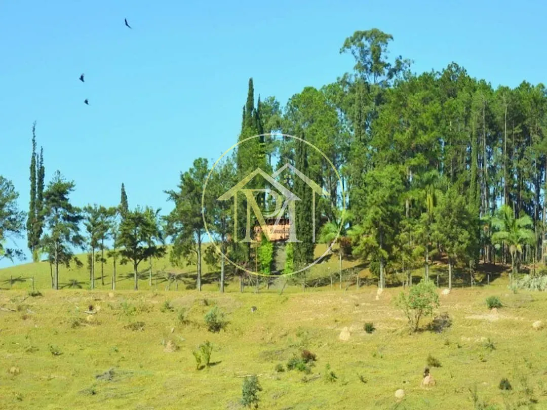 Fazenda, 278 hectares - Foto 14