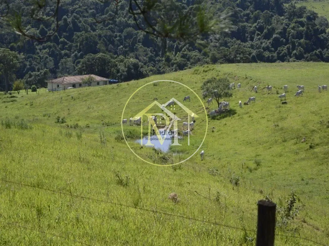 Fazenda, 278 hectares - Foto 13