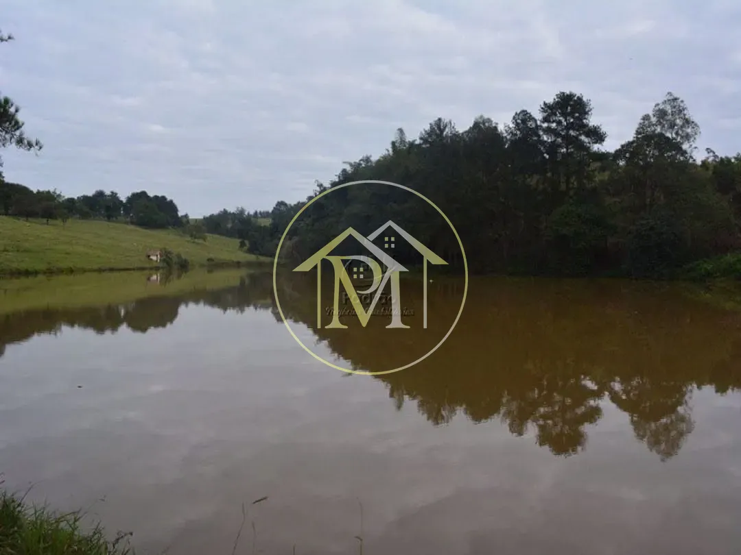Fazenda, 278 hectares - Foto 12
