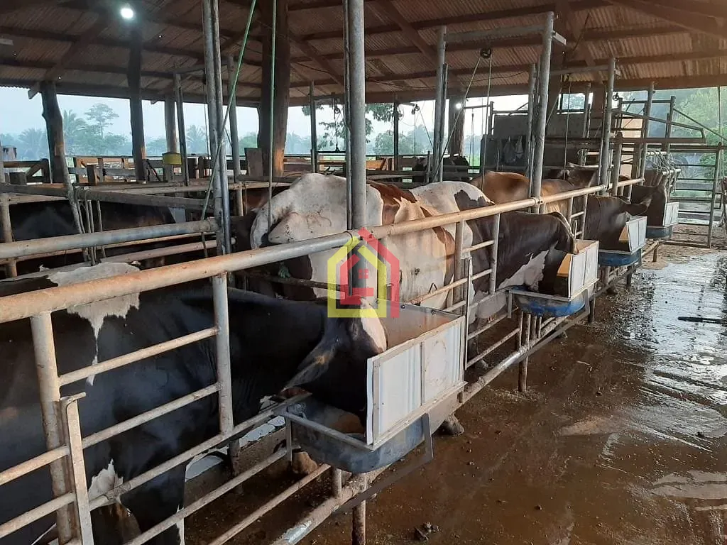 Rural à venda com 3388000m² de terreno no Zona Rural, Eldorado dos Carajás (PA) — foto 14 de 22