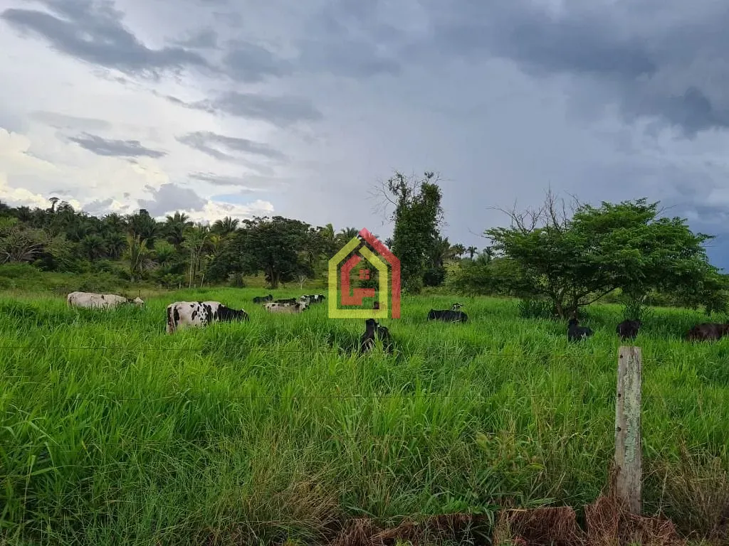 Rural à venda com 3388000m² de terreno no Zona Rural, Eldorado dos Carajás (PA) — foto 7 de 22