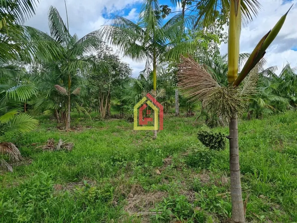 Rural à venda com 3388000m² de terreno no Zona Rural, Eldorado dos Carajás (PA) — foto 10 de 22
