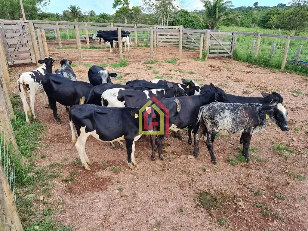 Rural à venda com 3388000m² de terreno no Zona Rural, Eldorado dos Carajás (PA) — foto 15 de 22