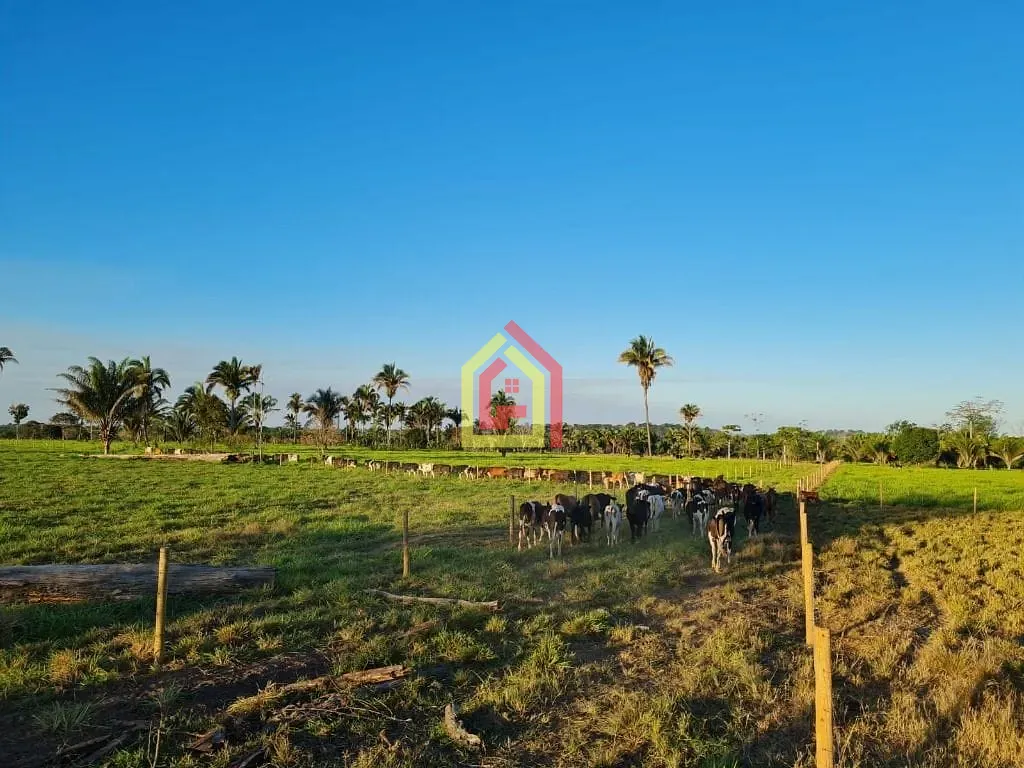 Rural à venda com 3388000m² de terreno no Zona Rural, Eldorado dos Carajás (PA) — foto 8 de 22