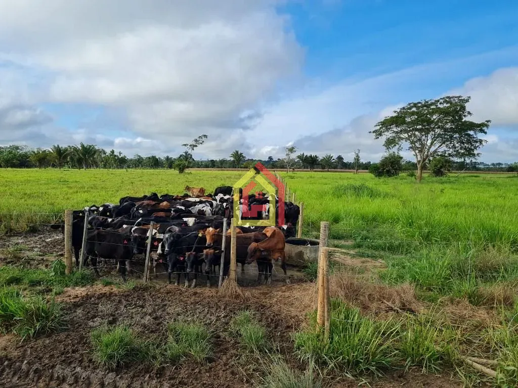 Rural à venda com 3388000m² de terreno no Zona Rural, Eldorado dos Carajás (PA) — foto 13 de 22