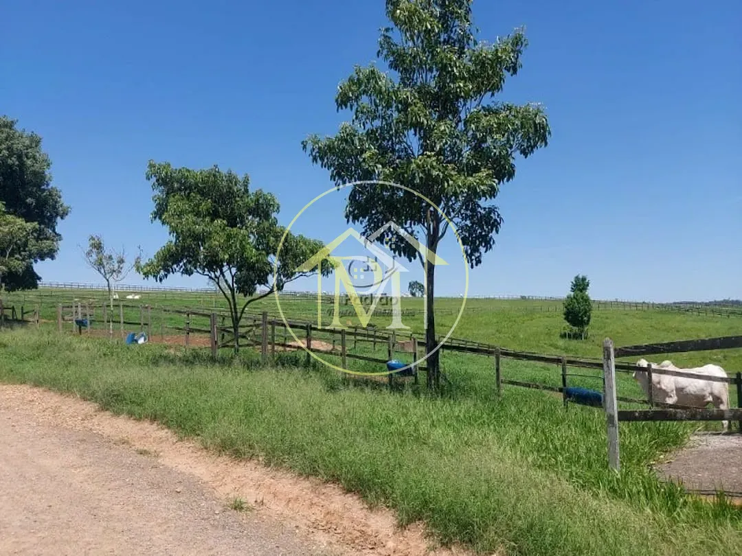 Fazenda, 126 hectares - Foto 10
