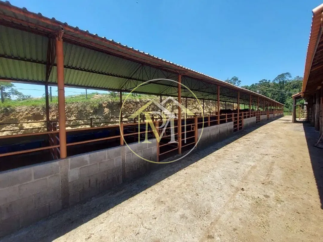 Fazenda, 126 hectares - Foto 15