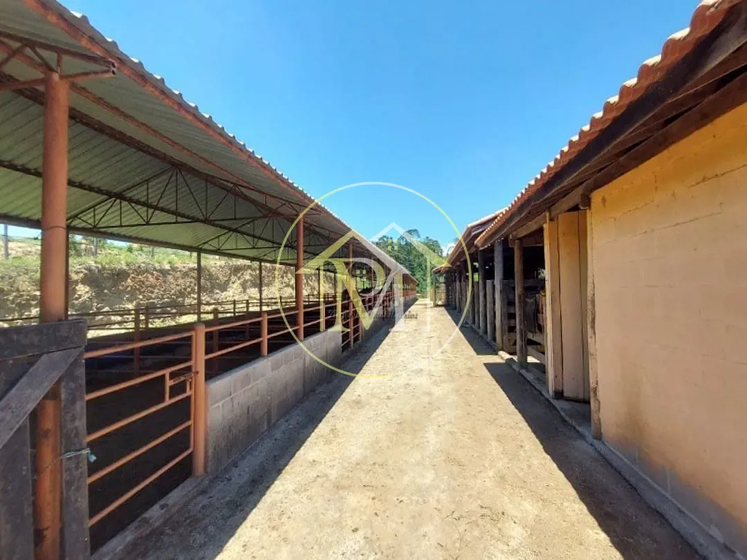 Fazenda, 126 hectares - Foto 18