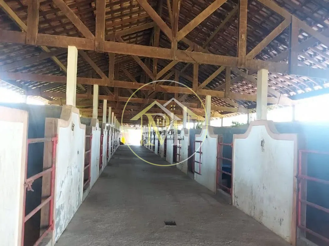 Fazenda, 126 hectares - Foto 26