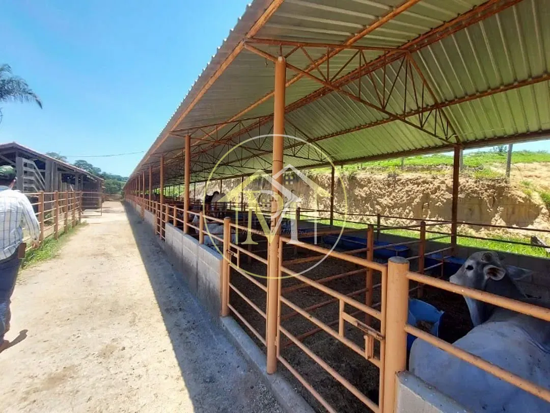 Fazenda, 126 hectares - Foto 17