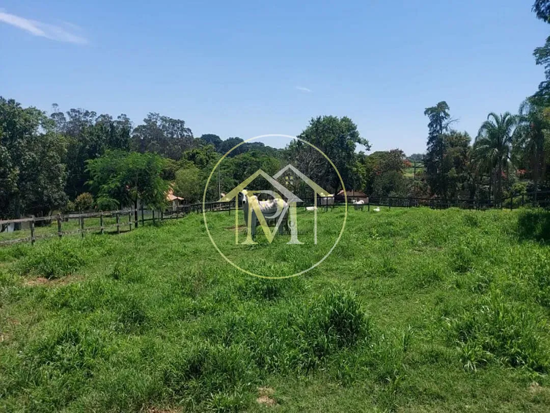 Fazenda, 126 hectares - Foto 12