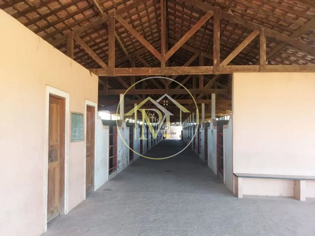 Fazenda, 126 hectares - Foto 23