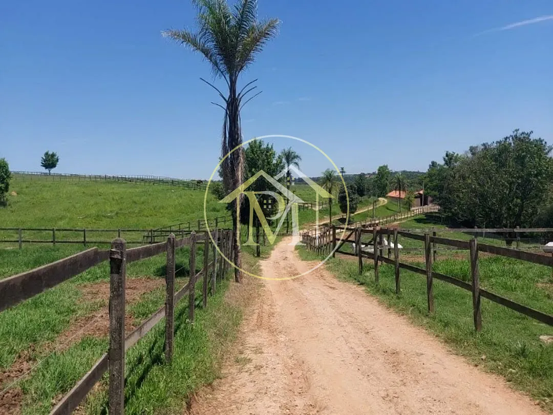 Fazenda, 126 hectares - Foto 9