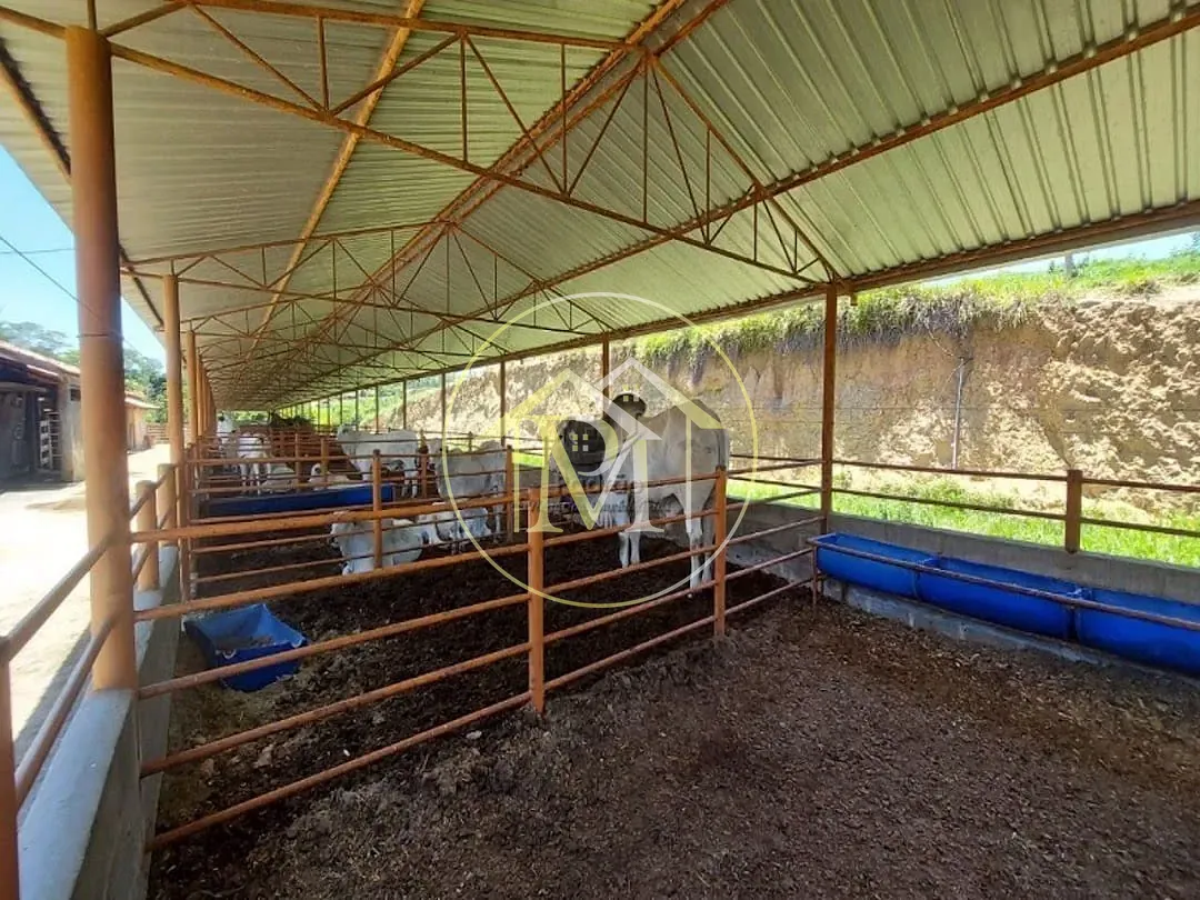 Fazenda, 126 hectares - Foto 16