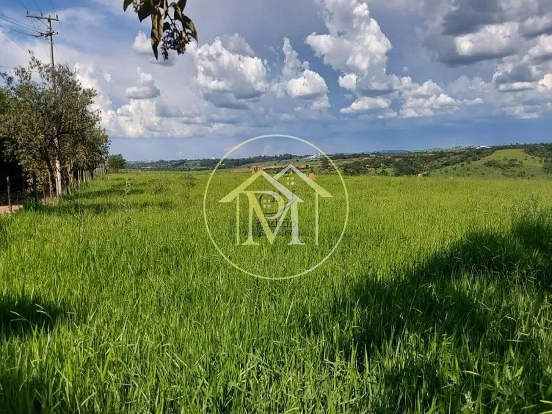 Fazenda, 126 hectares - Foto 13