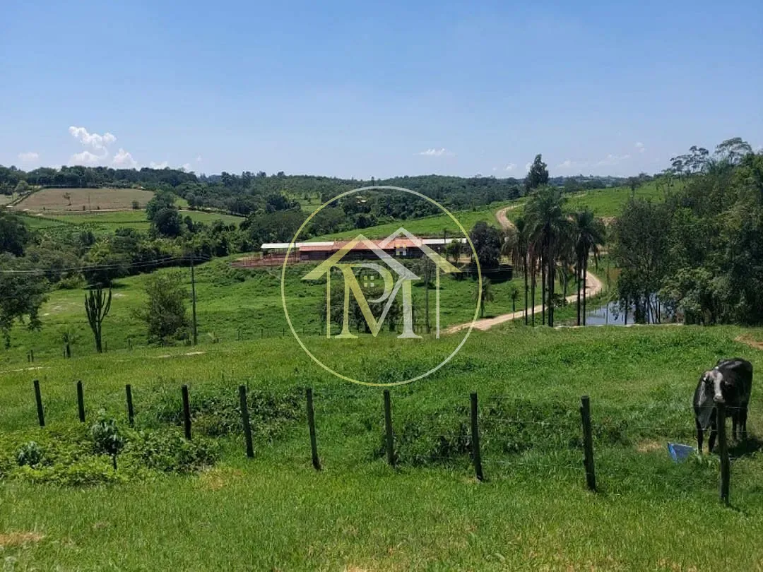 Fazenda, 126 hectares - Foto 7